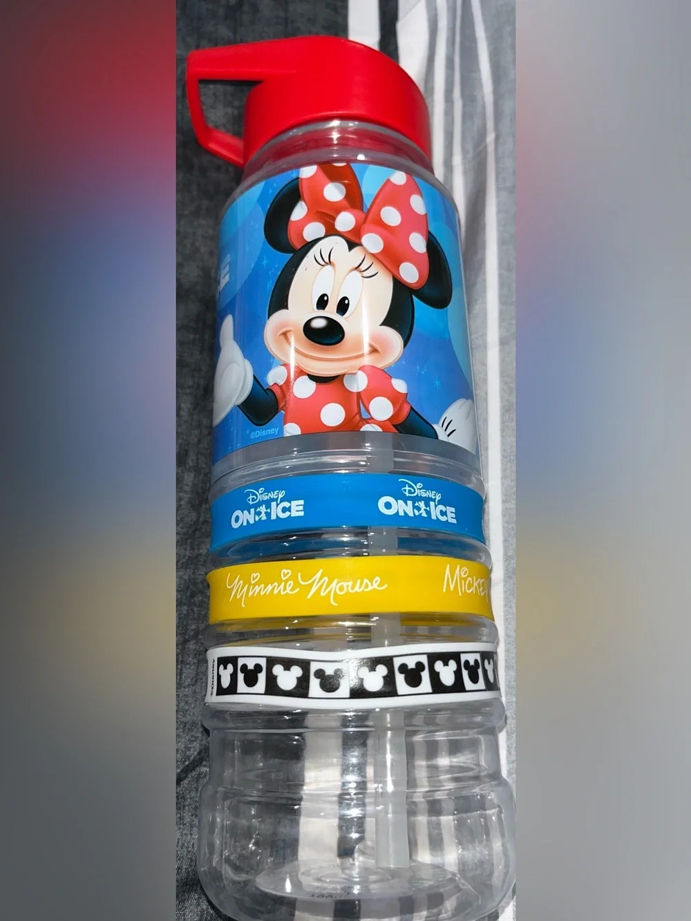 Disney On Ice Water Bottle